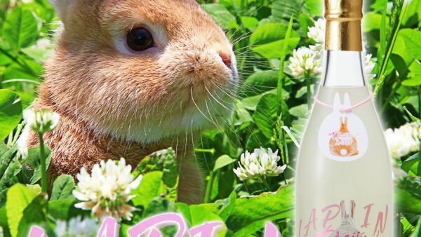 March Limited Release: Chiebijin LAPIN – On sale from Thursday, March 6