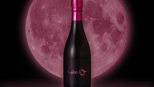 裏ちえびじん　おりがらみ生酒　70％　７月４日㈮～全国特約店様にて発売予定