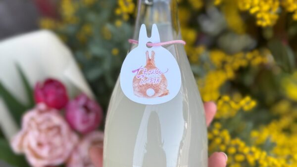 3月限定酒　ちえびじん LAPIN-ラパン- 本日3月６日(金)～　　　全国特約店様にて発売