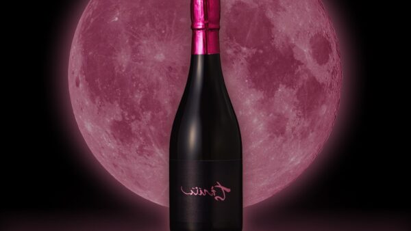裏ちえびじん　おりがらみ生酒　７月９日(木)～全国特約店様にて発売予定